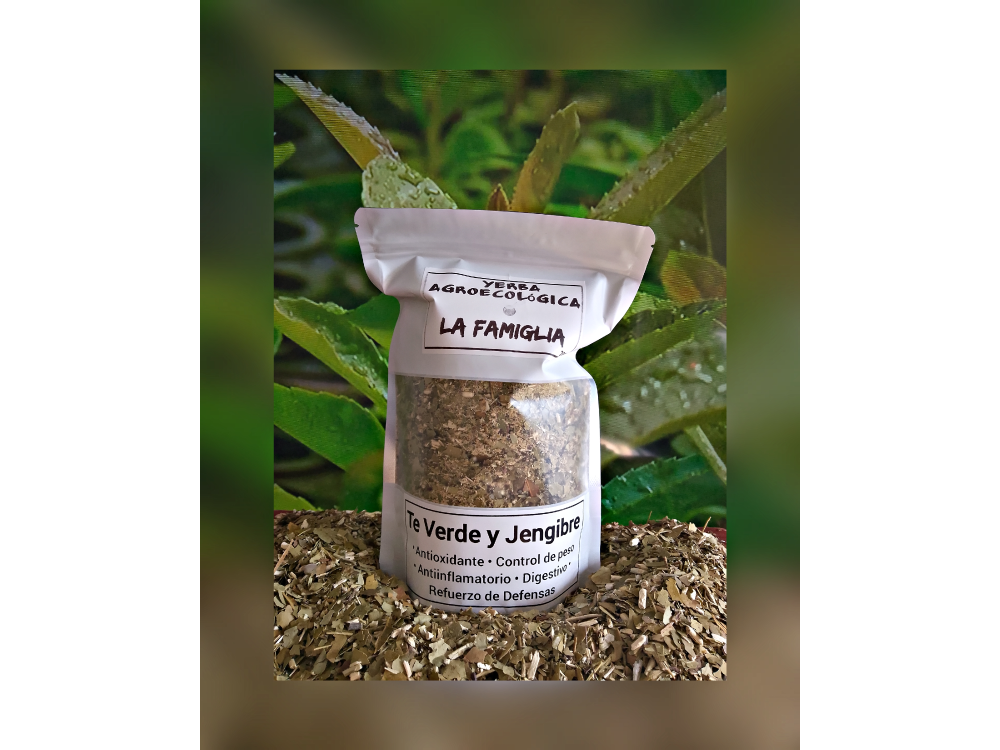 Yerba con Té Verde + Jengibre