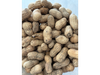 Mani con cáscara