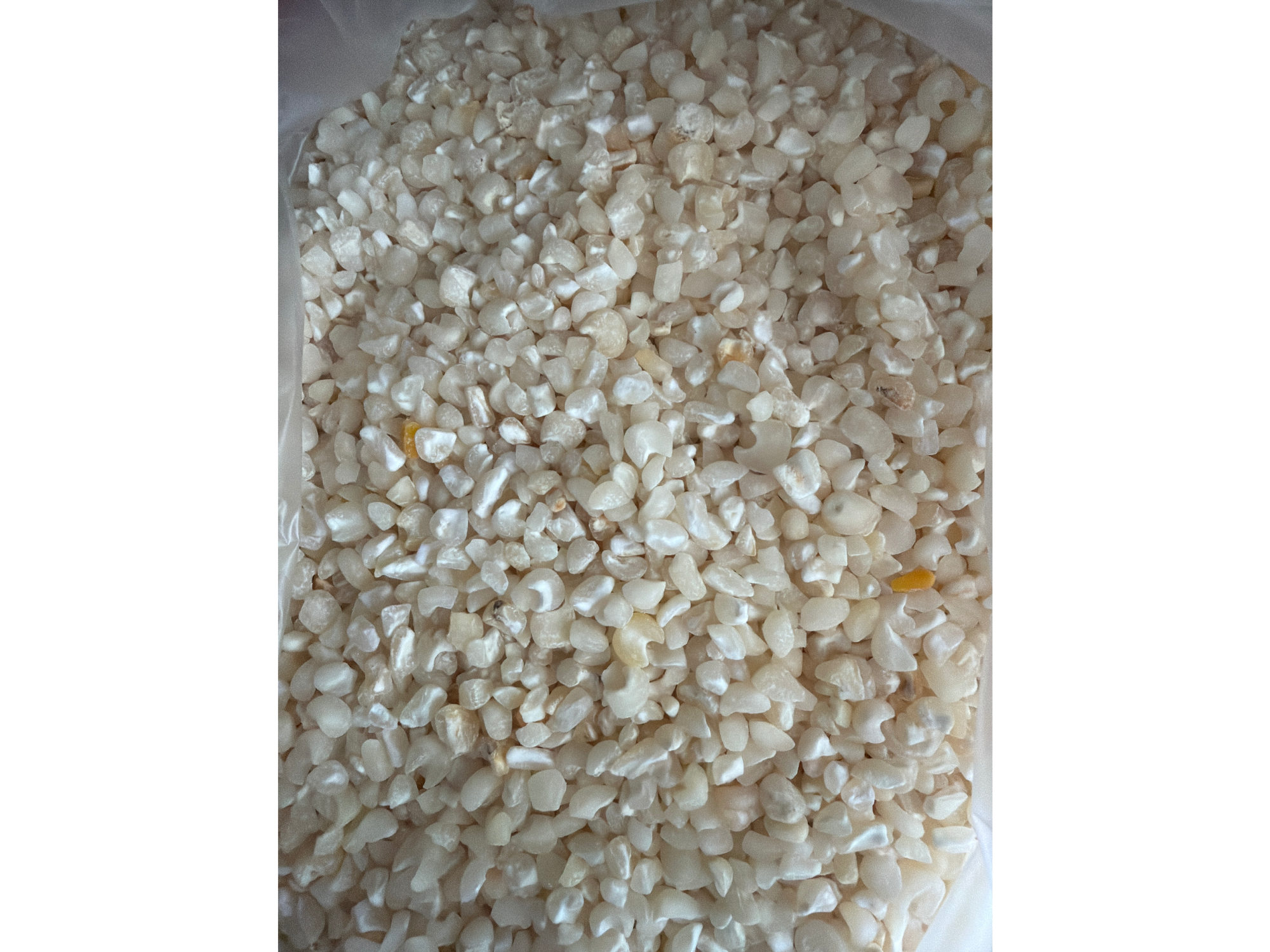 Maíz blanco