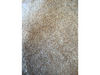 Quinoa semilla