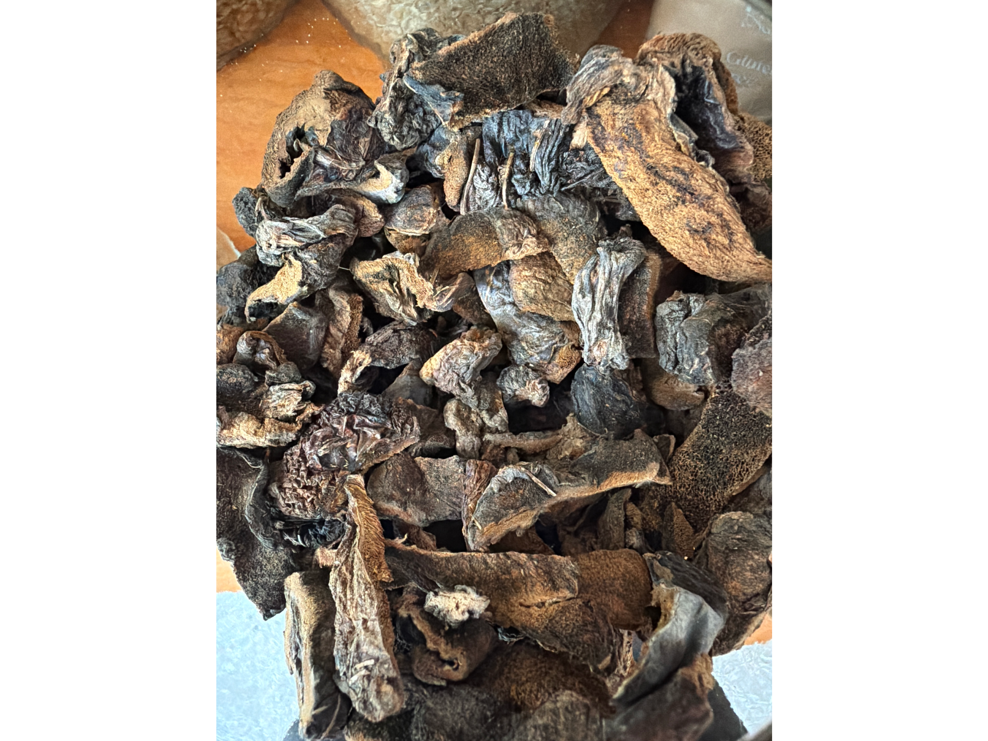 Hongos de pino