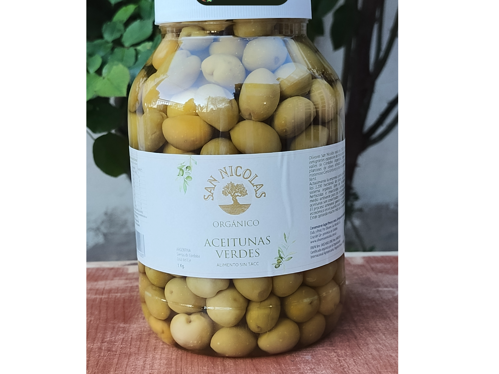 ACEITUNA VERDE 1KG SAN NICOLAS