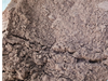 CACAO AMARGO ALCALINO