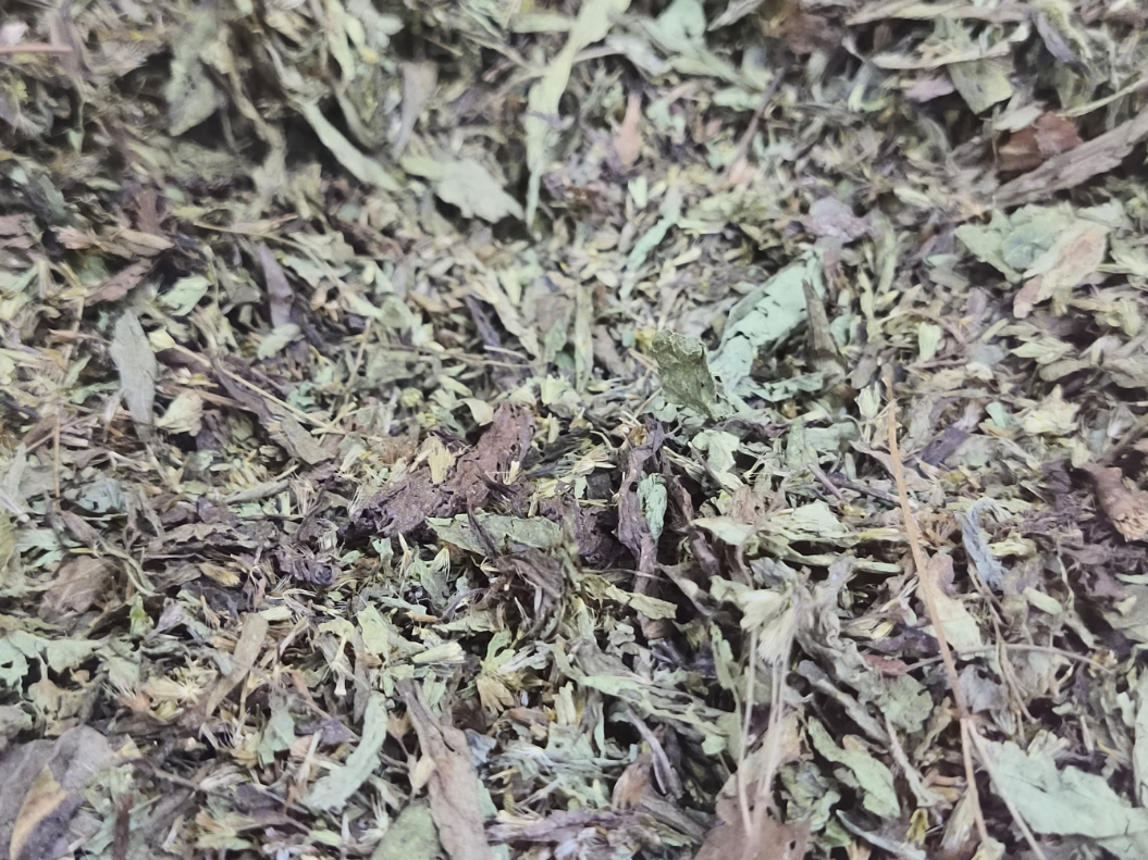 STEVIA EN HOJAS