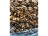 GRANOLA CHOCOLATE 🍫