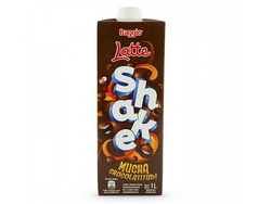 LECHE CHOCOLATADA BAGGIO 1L