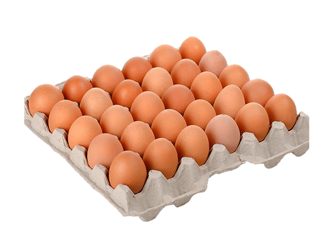 HUEVOS MAPLE MEDIANO