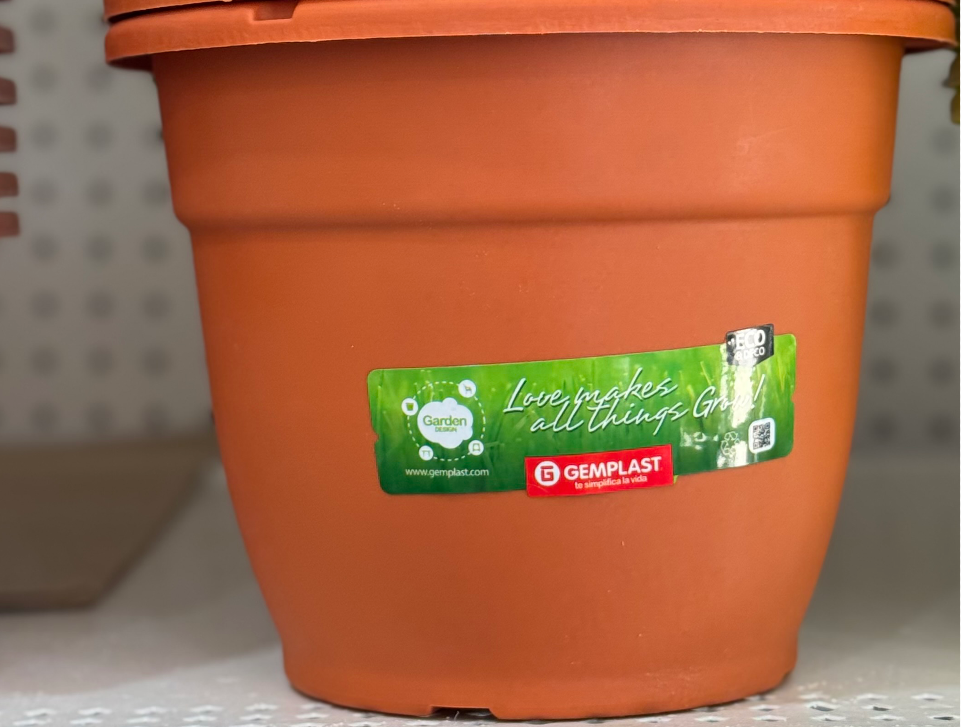 Maceta edén 20cm