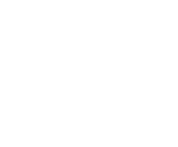 Logo punto pub