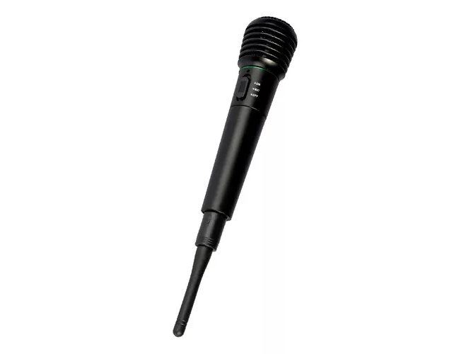 Micrófono Profesional Inalámbrico Karaoke Wg-308e Estuche Color Negro