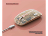 Mouse Inalámbrico Recargable Transparente
