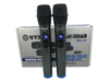 Micrófono Wvngr Wg-22 Inalámbrico Doble Profesional Karaoke