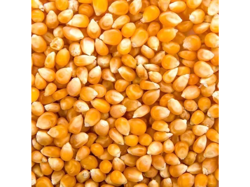 Maiz Pisingallo 1 kg