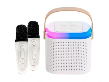 Mini Karaoke + 2 Microfonos Netmak