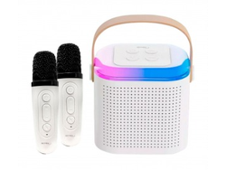 Mini Karaoke + 2 Microfonos Netmak