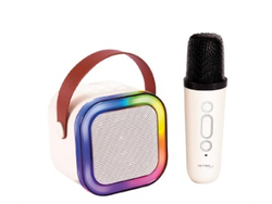 Mini Karaoke con Microfono Netmak