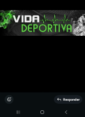 Logo Vida Deportiva