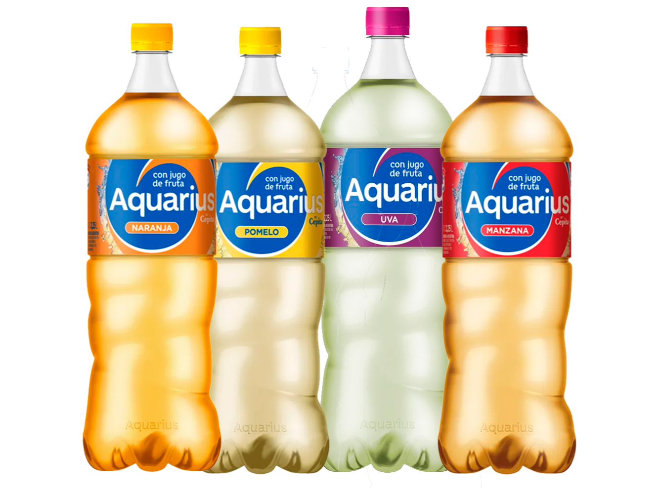 Aquarius 1.5 Lt