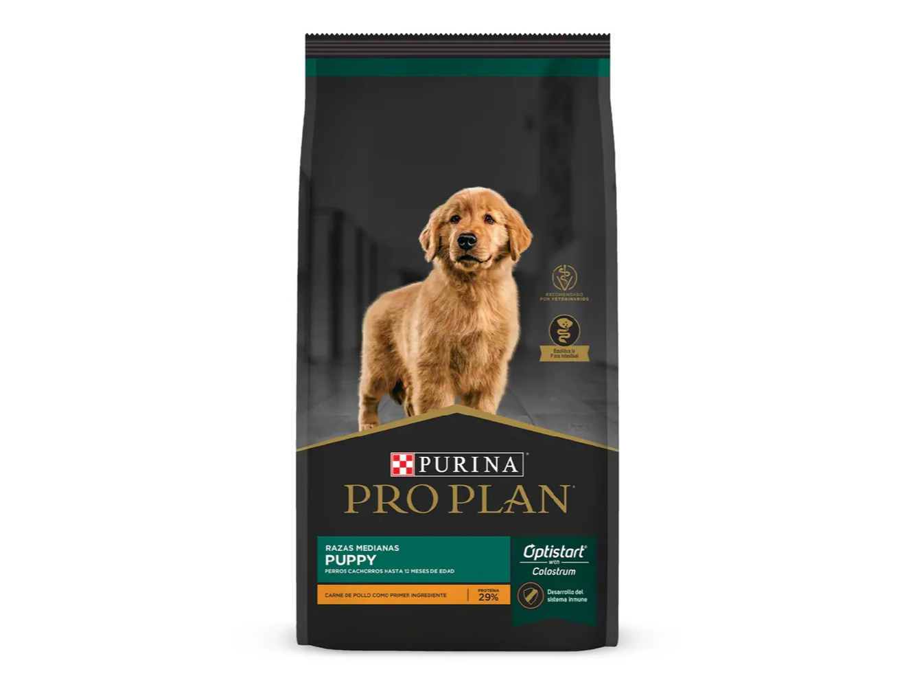 PRO PLAN CACHORRO RAZA MEDIANA