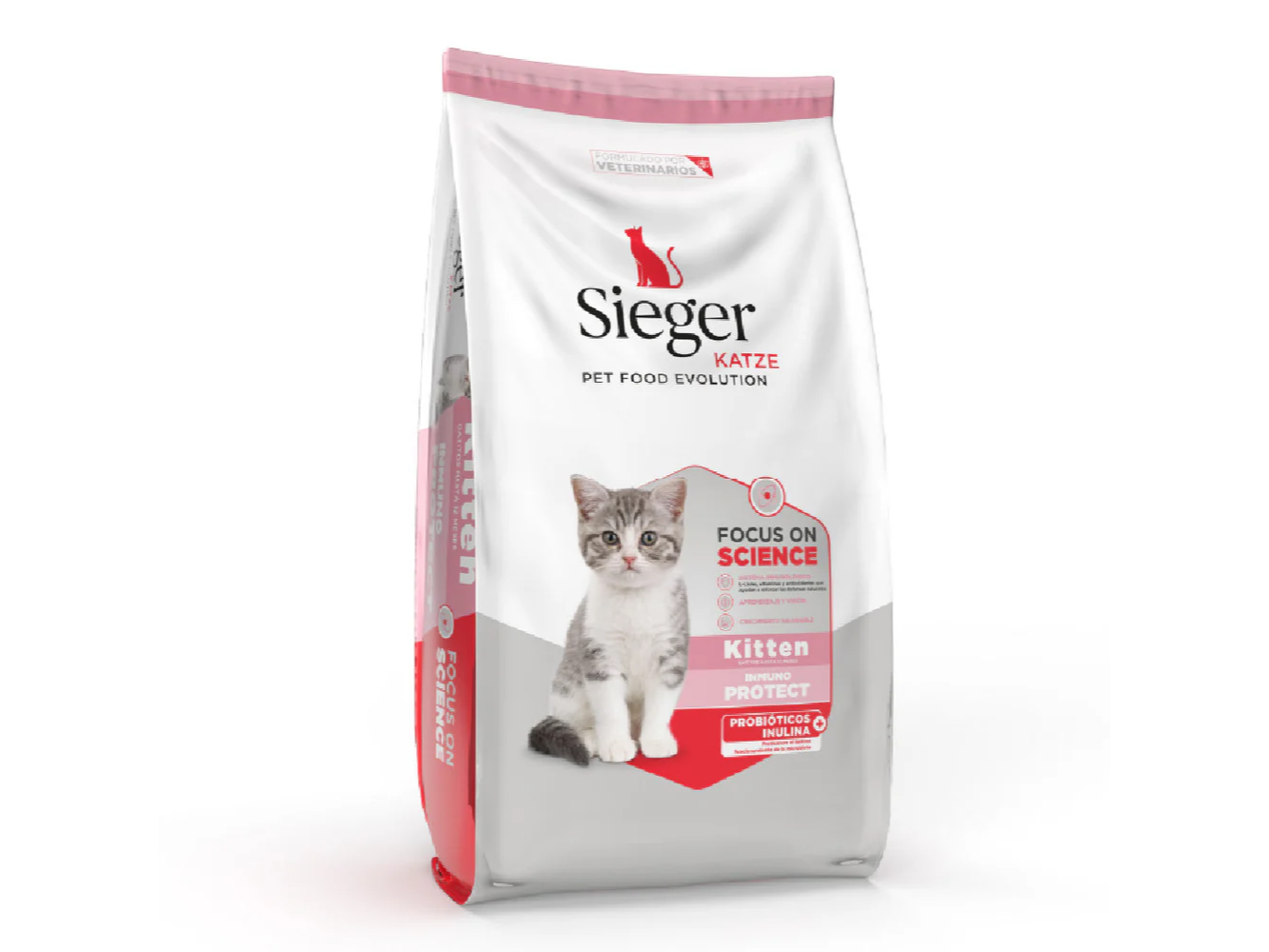 SIEGER KATZE KITTEN
