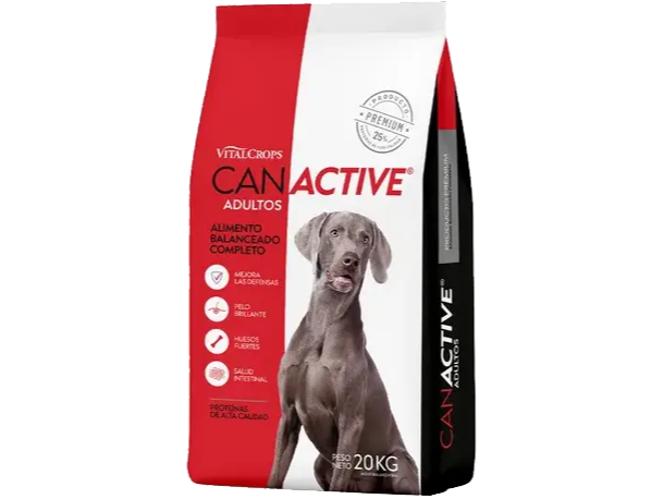CAN ACTIVE ADULTO