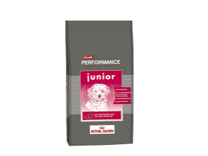 PERFORMANCE JUNIOR 15K