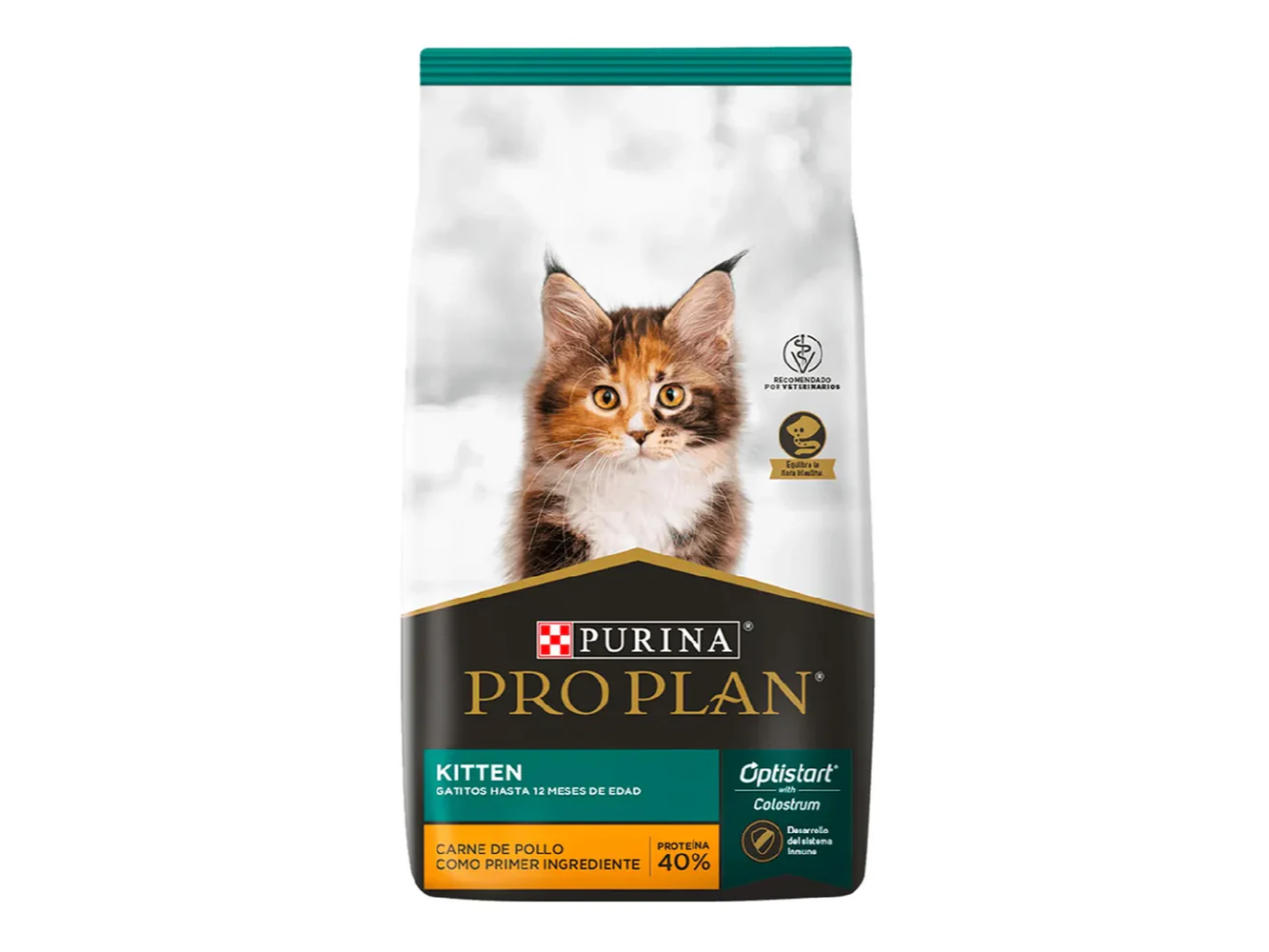 PRO PLAN GATO CACHORRO