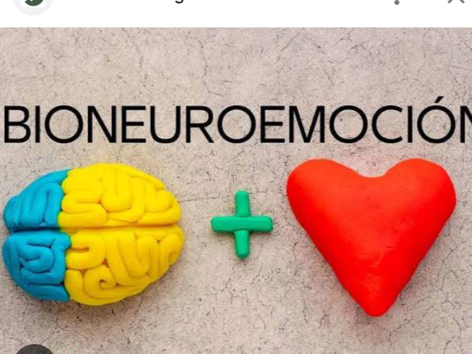 SESIÓN 2 HORAS DE BIONEUROEMOCIÓN