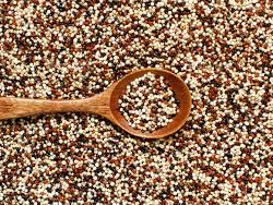 QUINOA MIX