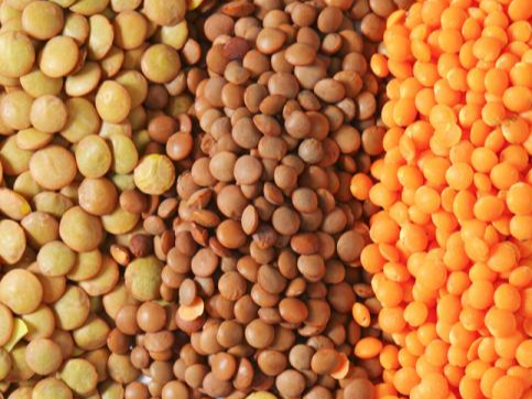 LENTEJAS CHILENAS Y ROJAS