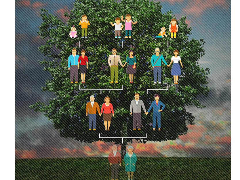 ESTUDIO DEL ÁRBOL GENEALÓGICO (única sesión)