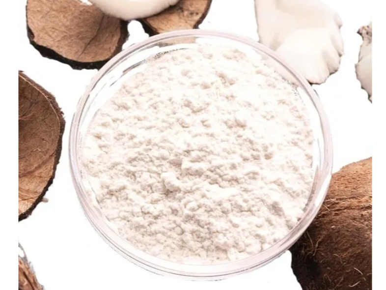 LECHE DE COCO EN POLVO