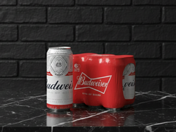 PACK CERVEZA BUDWEISER X6
