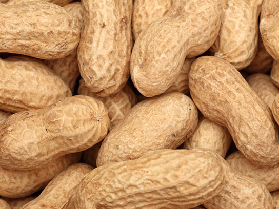 MANI CON CASCARA XKG