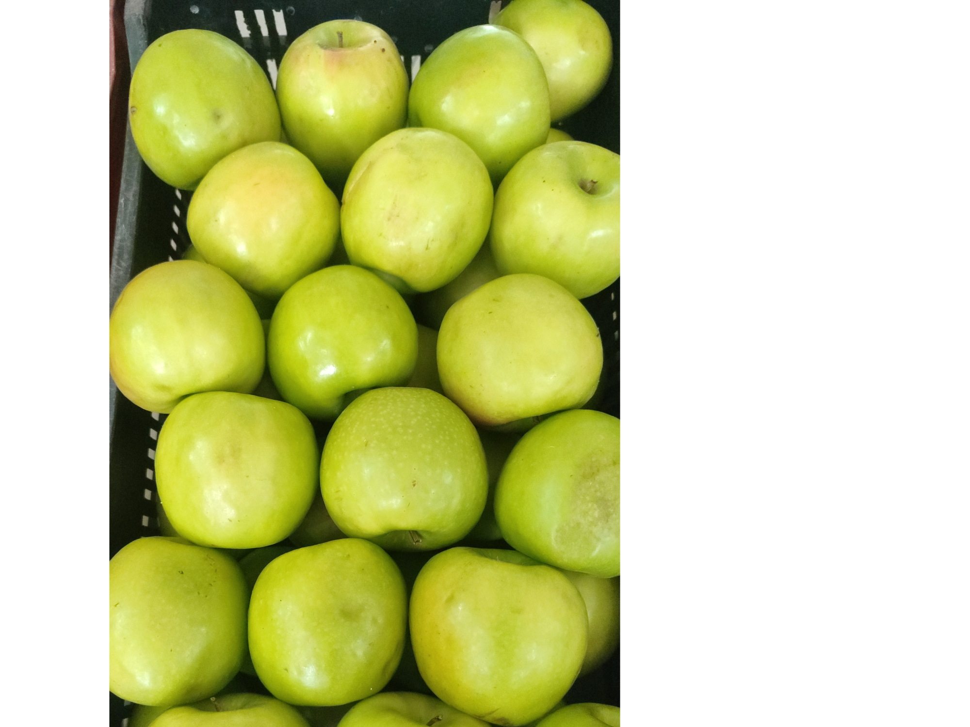 manzana verde