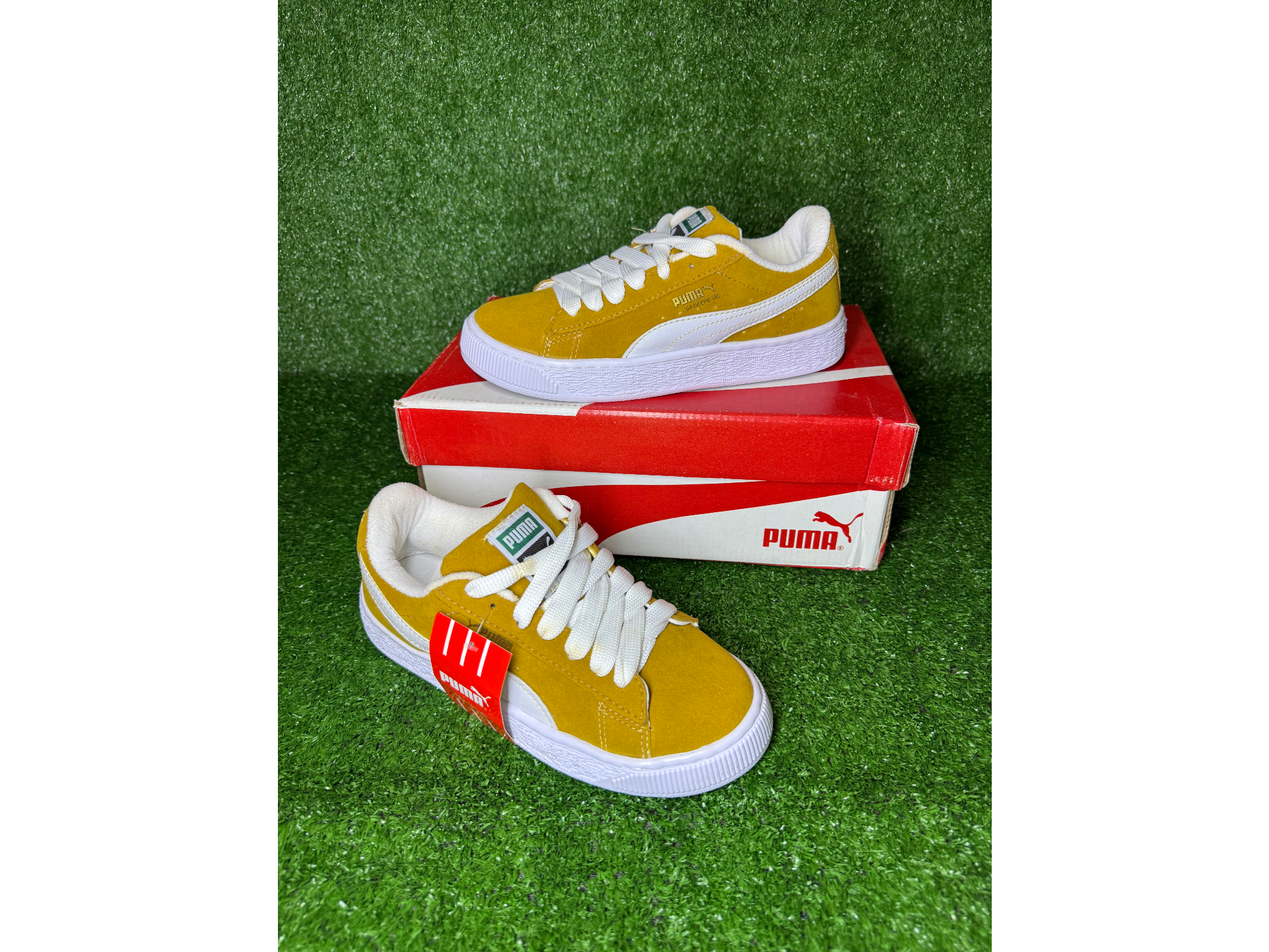 Puma mostaza