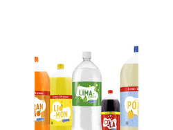 Gaseosa Rumipal todos los sabores x 2000 ml
