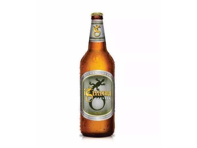 IGUANA x  12