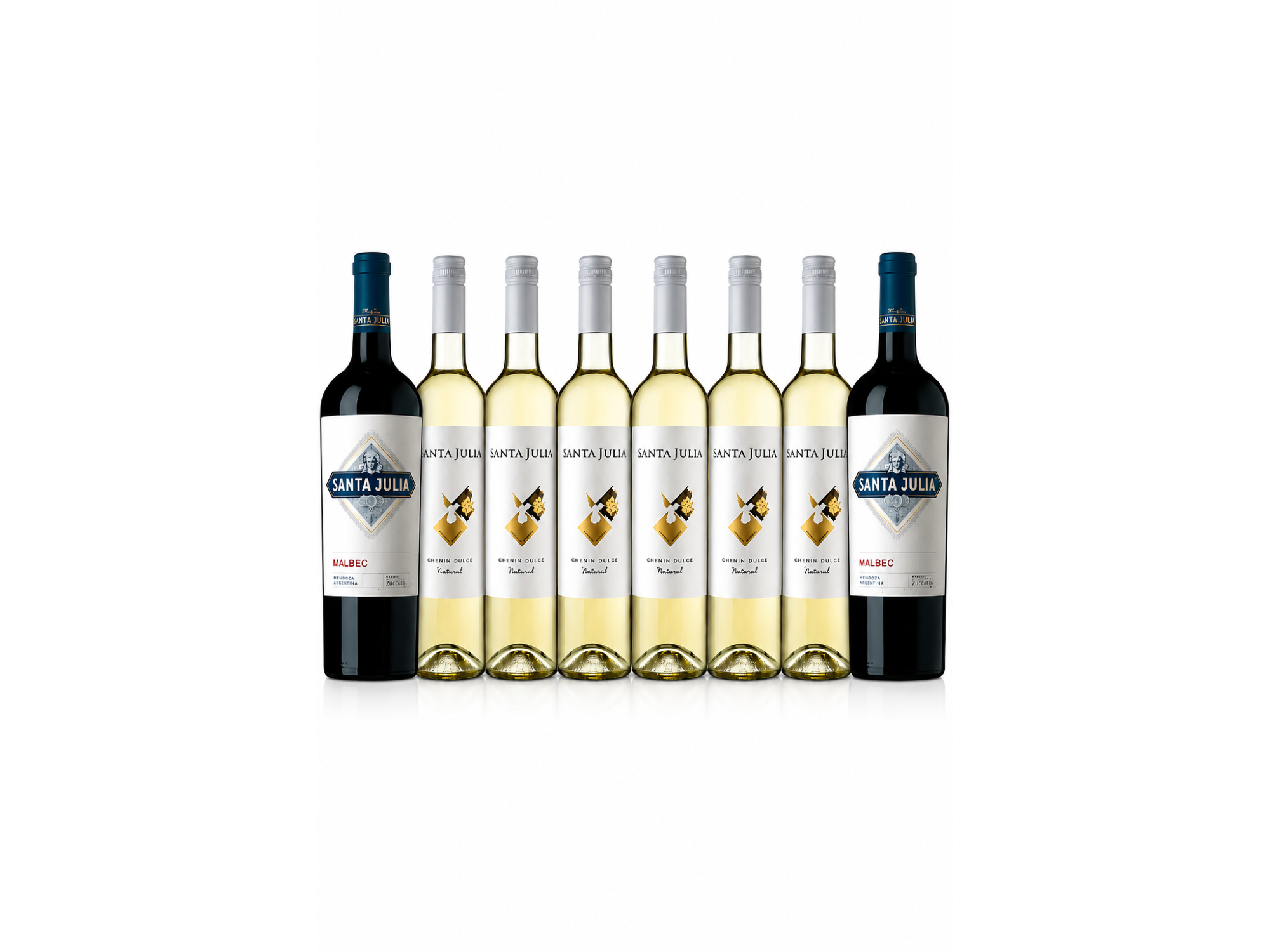 Combo 6 Santa Julia + 2 Malbec