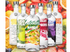 Absolut 700ml igual o surtido x 06 unid