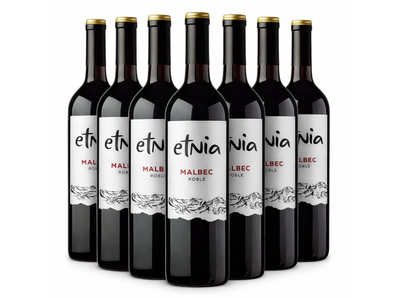 1 caja x 6 Etnia Malbec