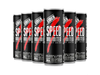 Speed 250 ml Pack x 24 unid.