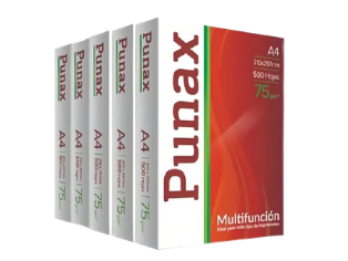 Resma Punax A4 x5