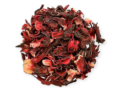 Hibiscus en Flor
