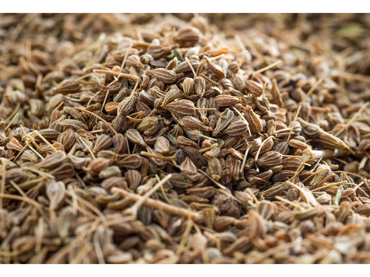 Anis en grano