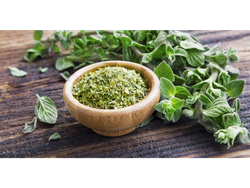 Albahaca
