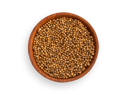 Coriandro grano