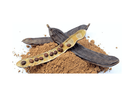 Harina de Algarroba oscura