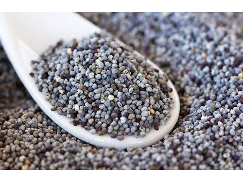 Semilla de Amapola azul