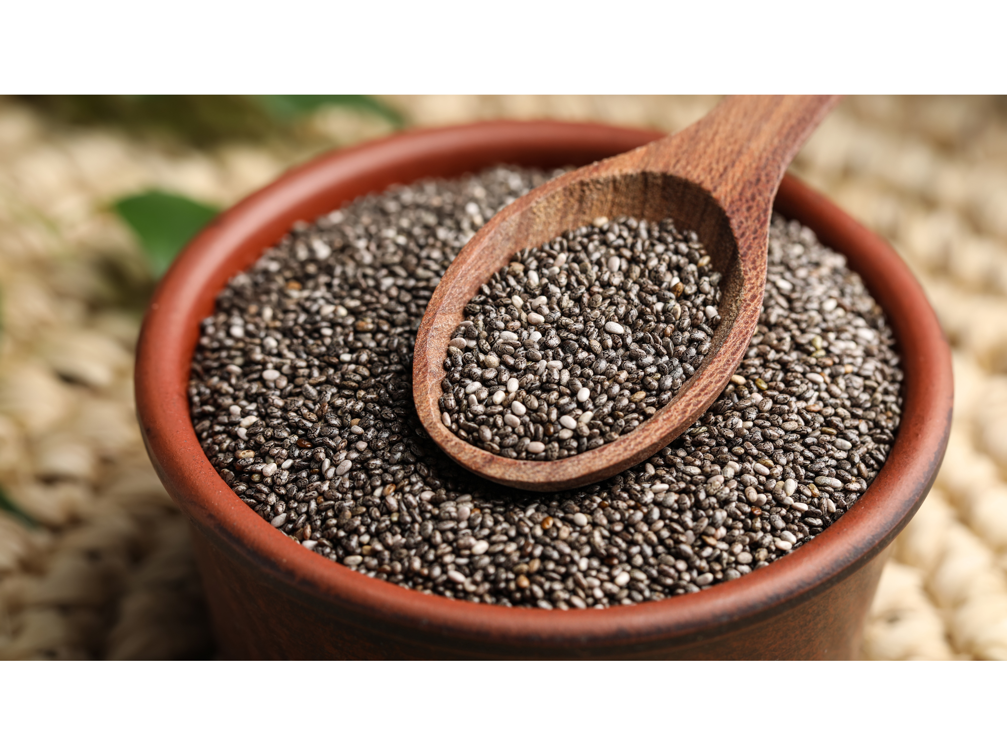 Semilla de Chia